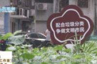 惠州：垃圾分类初见成效 六成以上住户能正确分类-环保卫士