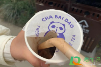 奶茶吸管变成了纸质吸管为什么-环保卫士