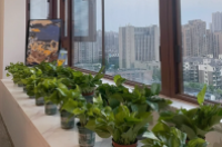 新房不住永远有味道正常吗-环保卫士
