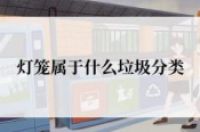 灯笼属于什么垃圾-环保卫士