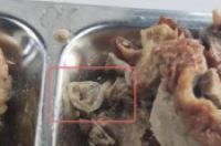 广州增城通报食堂饭菜异物检测情况：高度可能为鸭眼球巩膜结构-环保卫士