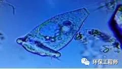 为什么生化系统老是出问题？我总结了这些控制经验！-环保卫士