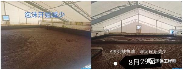 我用双氧水 搞定了丝状菌高度膨胀！