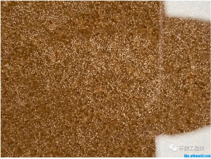 反硝化池脱氮效率差 是什么原因？-环保卫士