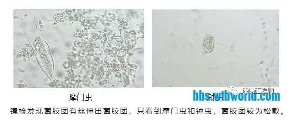 我用12天 搞定了冬季污水厂的总氮提标改造！
