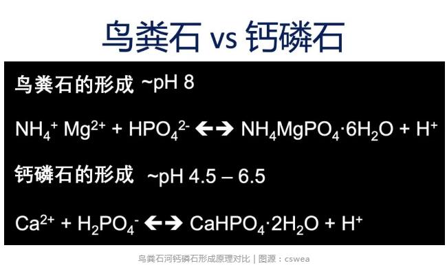 鸟粪石听厌了？产钙磷石的磷回收技术听过吗？