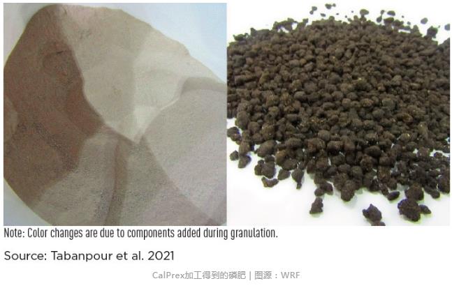 鸟粪石听厌了？产钙磷石的磷回收技术听过吗？