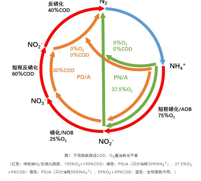 现象分析 | 厌氧氨氧化技术研究与应用反差现象归因-环保卫士