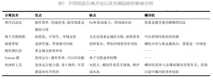 戴晓虎教授团队：循环经济背景下污水厂污泥中铝盐的分离与回收技术研究进展