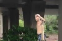 四川一大爷踩平衡车挑粪桶-环保卫士