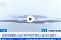 韩国石斑鱼大量死亡韩国超100万条鱼死亡-环保卫士