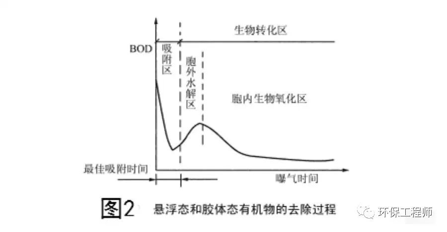 为什么叫活性污泥？