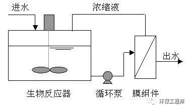 为什么叫活性污泥？