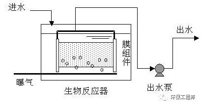 为什么叫活性污泥？