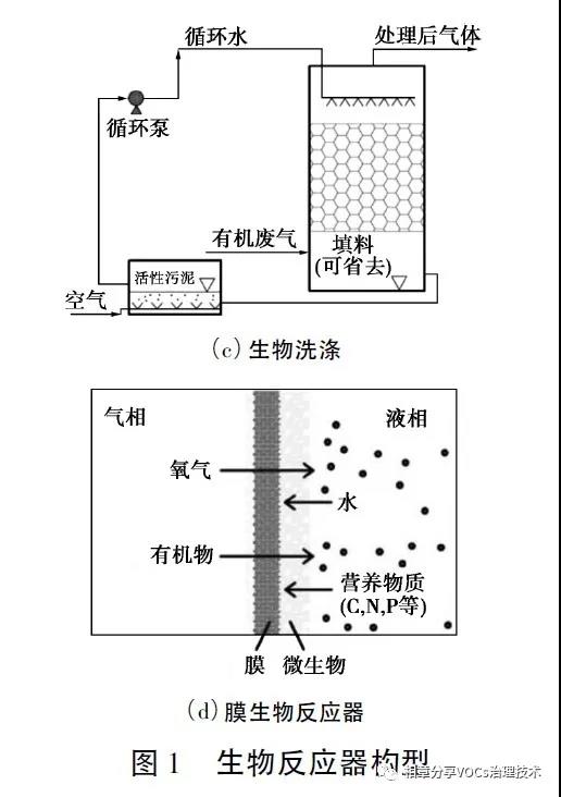 生物法处理挥发性有机废气的研究进展