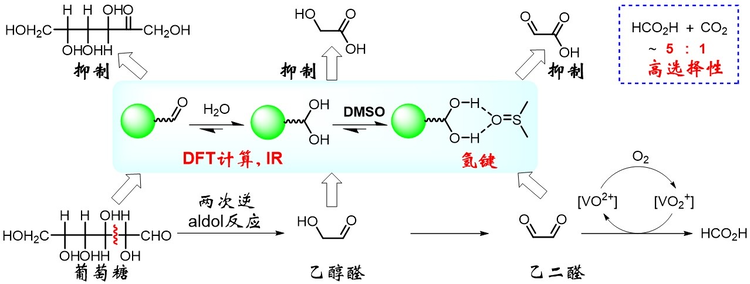 西安交通大学科研人员在生物质高效制备甲酸机理与应用研究中取得新进展-环保卫士