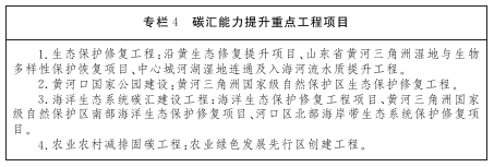 《东营市碳达峰工作方案》发布