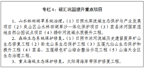 实施碳达峰“十大工程”！日照市政府发布碳达峰工作方案！