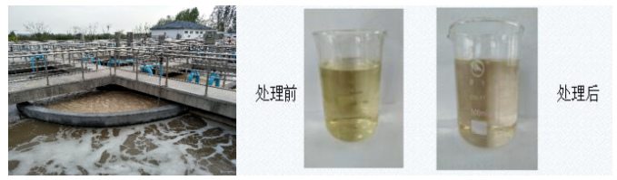 2022实用技术 | 河北丰源环保——难降解有机废水模块化电化学处理技术
