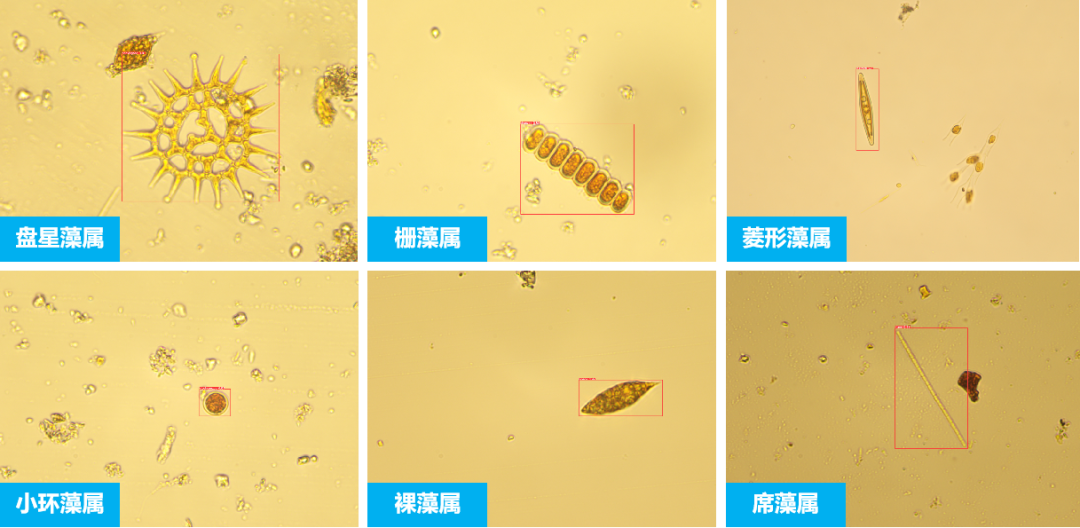 先河环保举办水生态监测及地下水监测、修复系统新品发布会