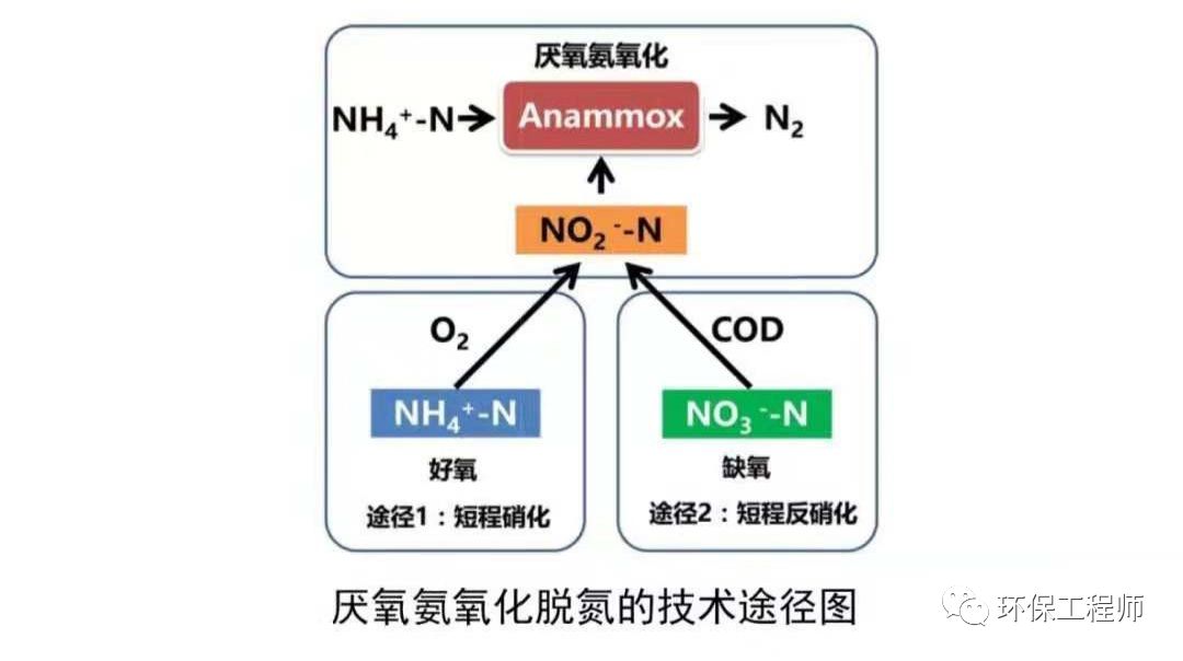 什么是短程硝化和短程反硝化？