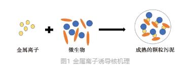 金属阳离子对好氧颗粒污泥造粒影响研究进展
