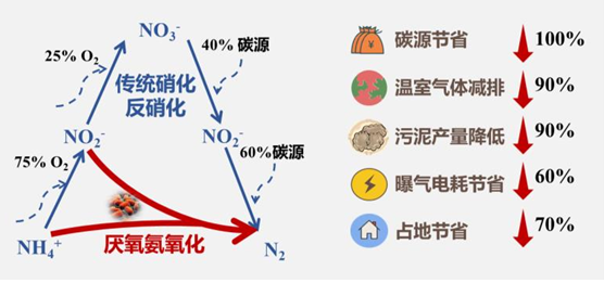 国家绿色低碳先进技术成果丨高氨氮废水厌氧氨氧化高效低碳脱氮技术