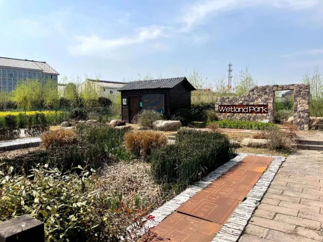 国际先进水平!中建环能一项关键技术顺利通过科技成果鉴定