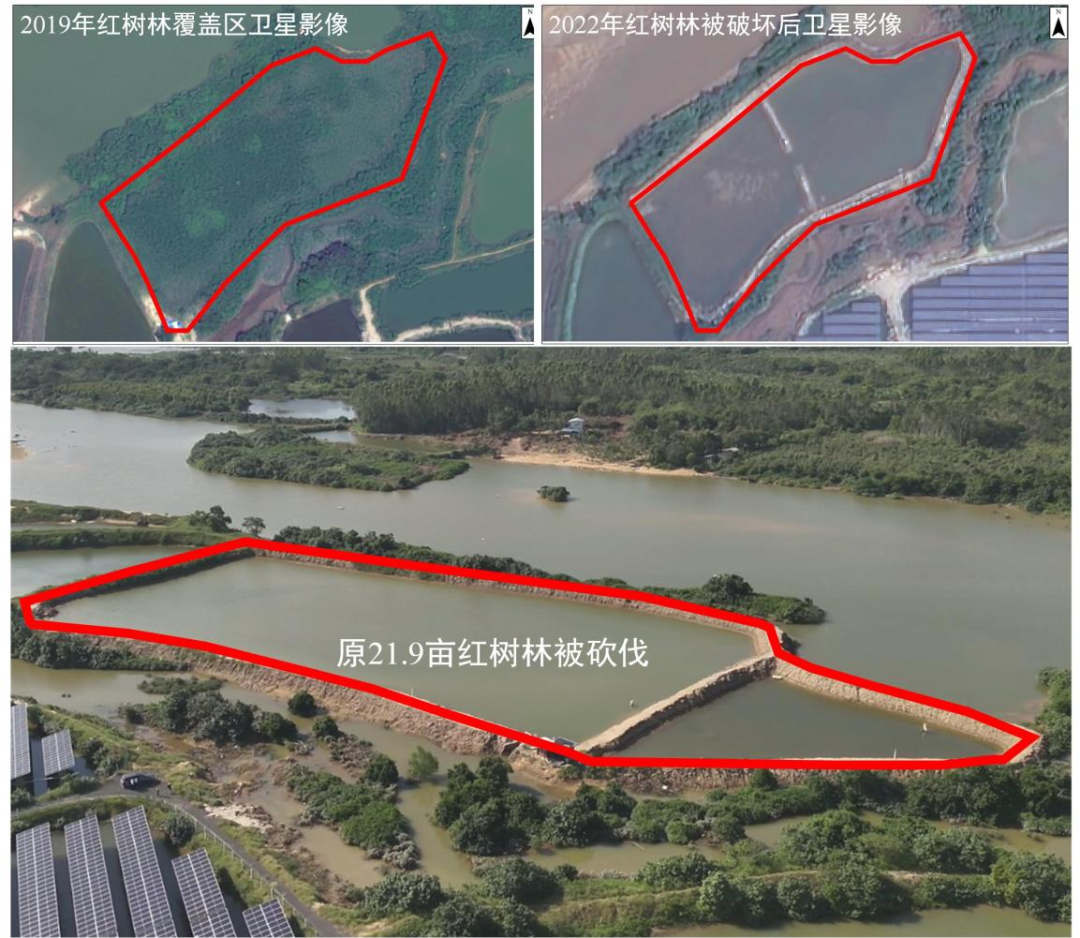 中央生态环保督察通报第一批典型案例,都与“水”有关!