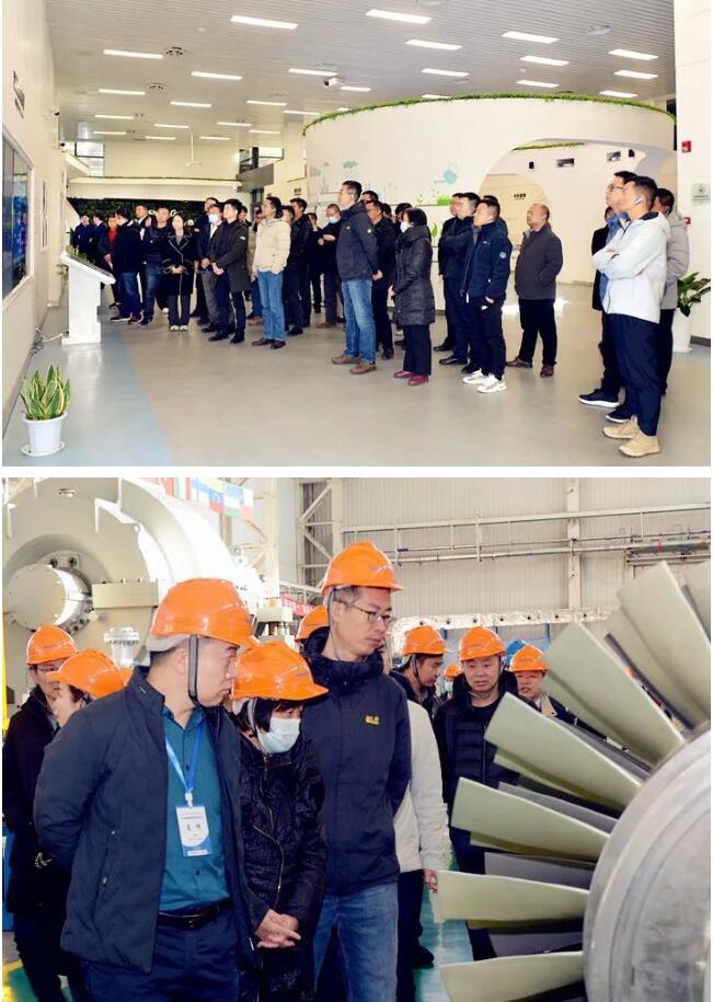 智慧绿色能源引领低碳未来——2023首届智慧绿色发展论坛正式召开