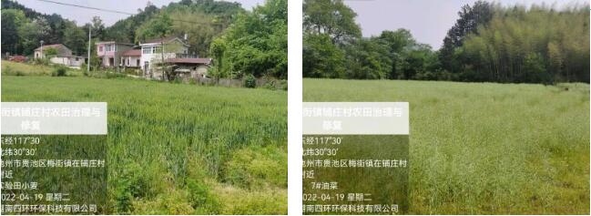 贵池区梅街镇铺装村农田土壤污染环境治理与修复项目通过验收