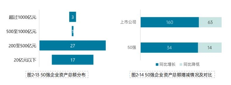 《2023中国环境企业50强发展报告》——​资产与负债情况分析