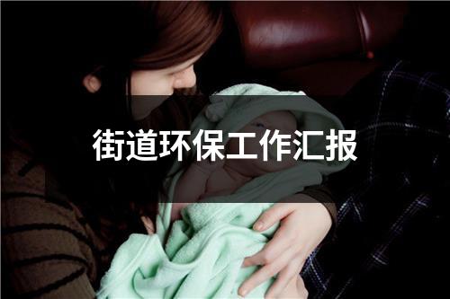 街道环保工作汇报（精选12篇）-环保卫士