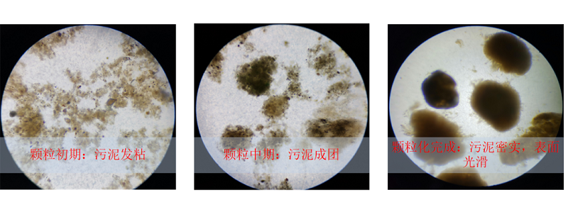 国内首个好氧颗粒污水处理厂——龙游县城南工业污水处理厂！-环保卫士