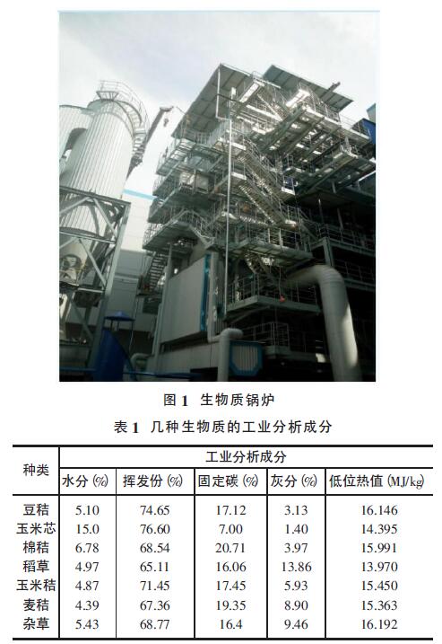 生物质锅炉尾气超低排放技术分析-环保卫士