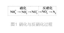 新型生物脱氮除磷技术在城市污水处理中的发展趋势-环保卫士