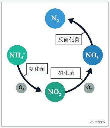污水厂的处理流程中的工艺细节管理（十九）-生化池的运行细节10-环保卫士