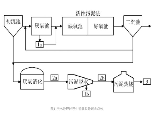 磷回收：技术与政策-环保卫士