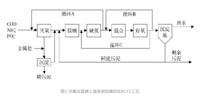 磷回收：技术与政策