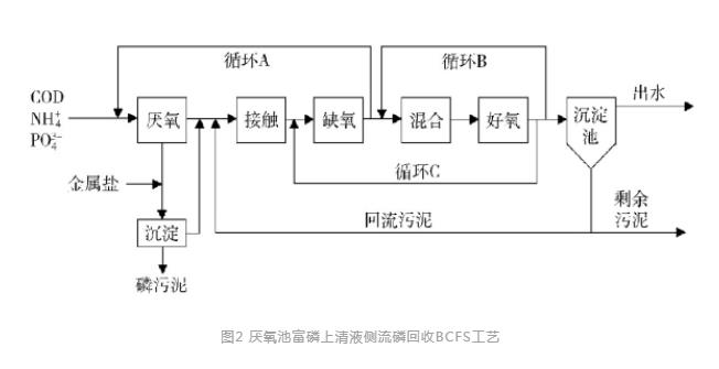 磷回收：技术与政策