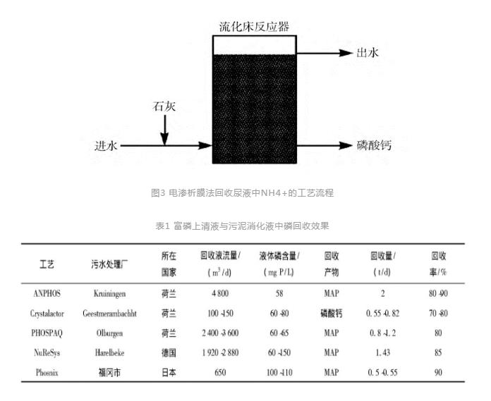 磷回收：技术与政策