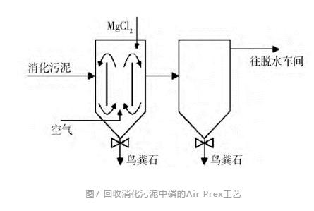 磷回收：技术与政策