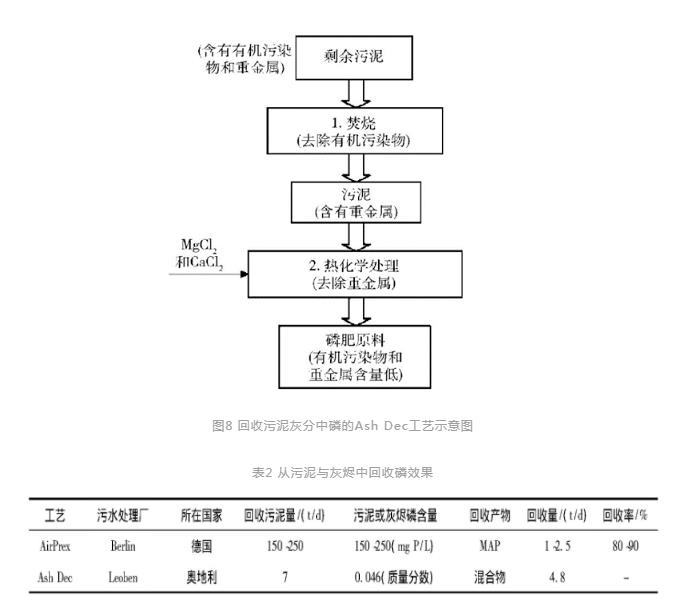 磷回收：技术与政策