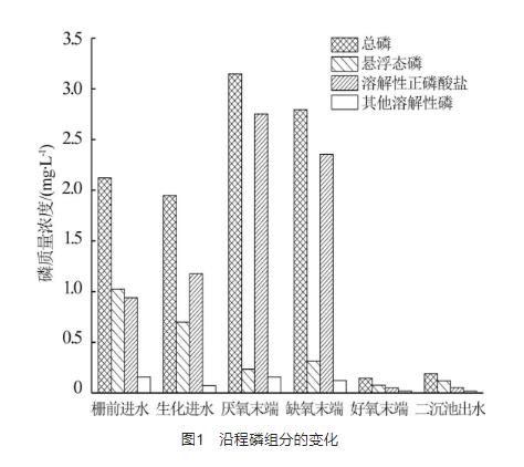 环境敏感地区城市污水处理厂超深度除磷研究-环保卫士