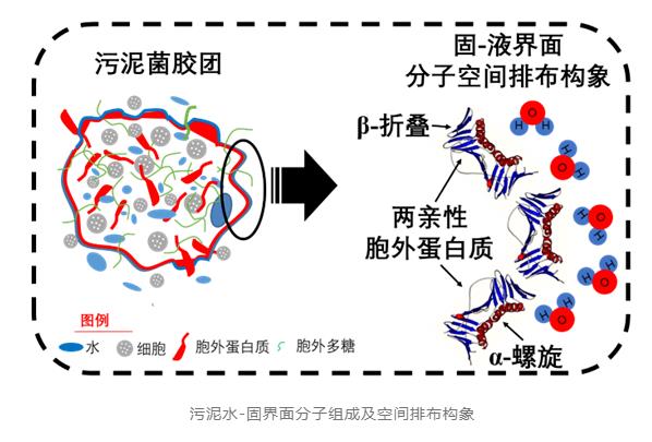 戴晓虎团队：基于调理剂循环利用的污泥深度脱水减容技术