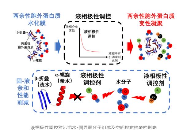 戴晓虎团队：基于调理剂循环利用的污泥深度脱水减容技术