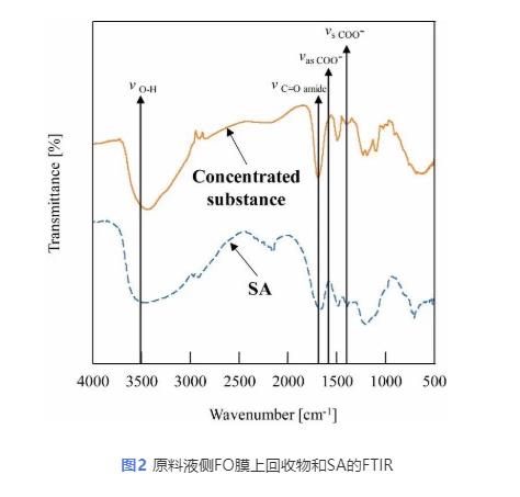 反向溶质扩散助力正渗透浓缩藻酸盐