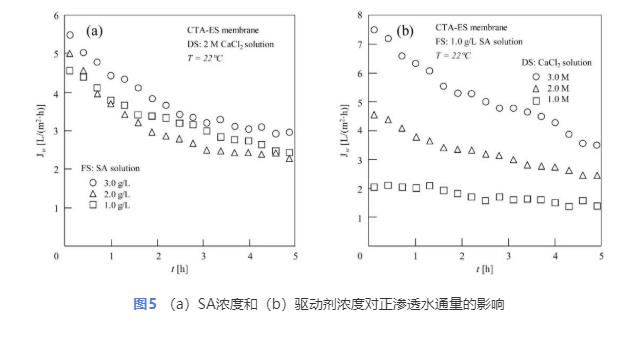 反向溶质扩散助力正渗透浓缩藻酸盐